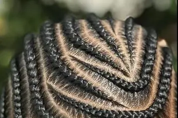Top view of cornrows